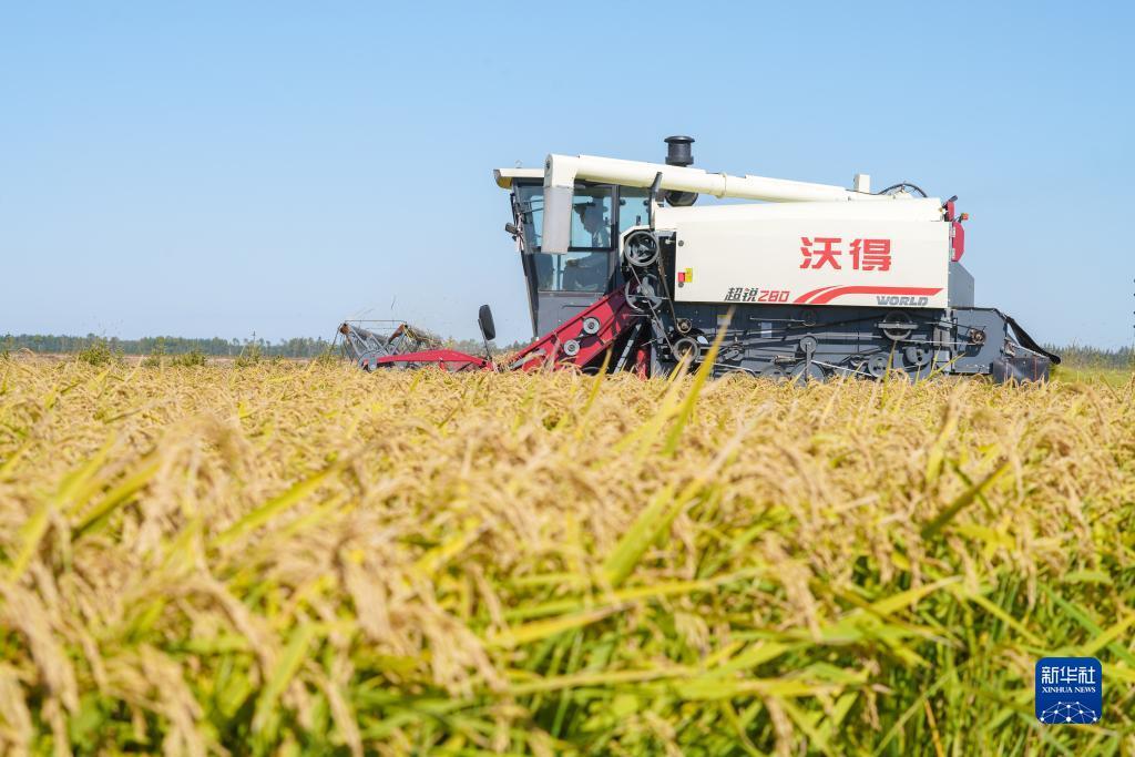 最新打鱼送分